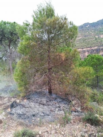 Servicios de emergencia extinguen otro conato de incendio forestal en Calasparra