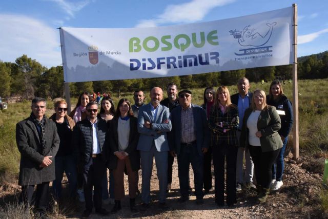 Plantan de 7.000 unidades de pino Carrasco en la Sierra del Molino