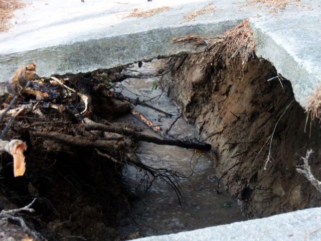 Se retiran los árboles caídos al río en el Santuario de Ntra. Sra. de la Esperanza