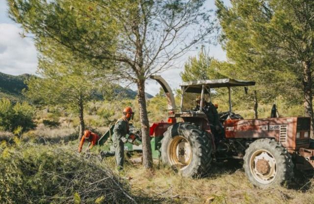 La Comunidad realiza trabajos de regeneración de masas forestales incendiadas en montes de Calasparra y Cieza