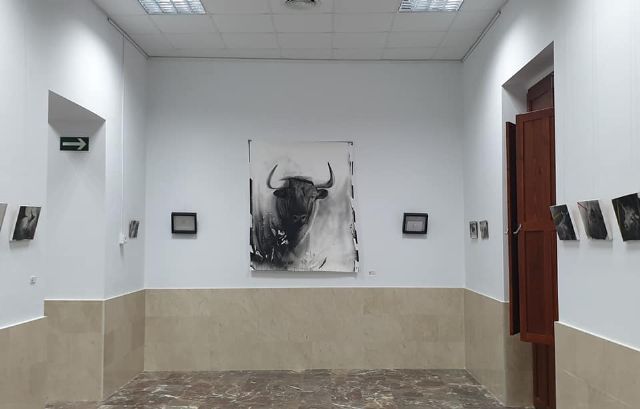 Calasparra albergará durante sus fiestas 3 magníficas exposiciones taurinas