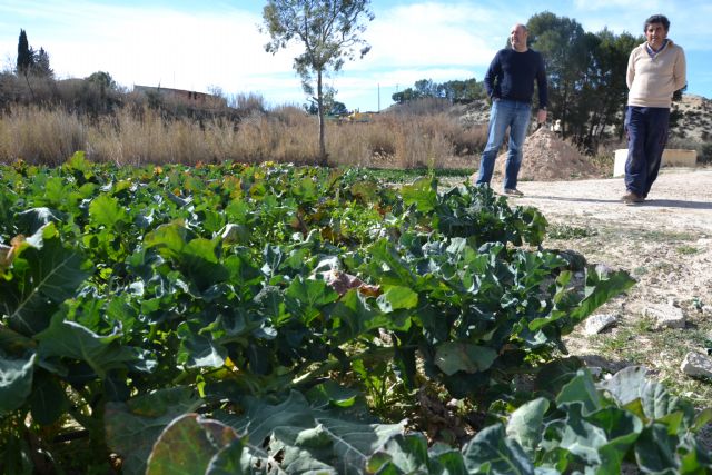 16 vecinos se benefician ya de los Huertos Urbanos y el Banco de Tierras