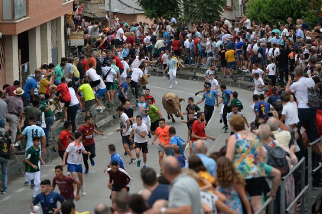 Dos heridos hoy en el tercer encierro taurino de Calasparra