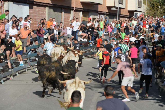 4º Encierro de la Feria y Fiestas de Calasparra