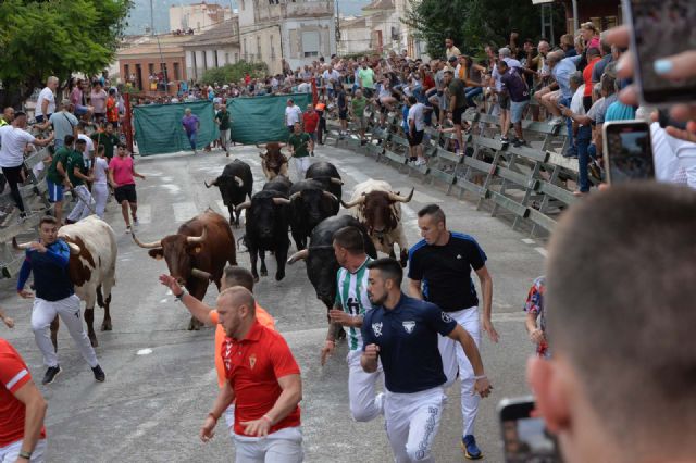 Rápido y limpio el tercer encierro con los novillos de la Ganadería Juan Luis Fraile