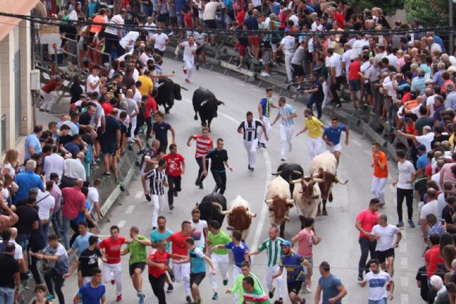Quinto encierro de Calasparra con impresionantes carreras y sin heridos