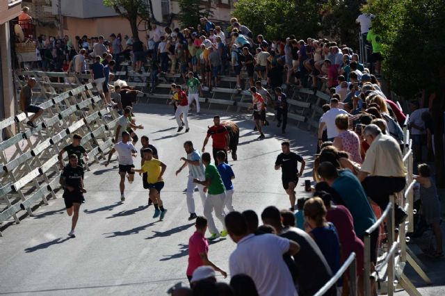 5º Encierro de la Feria y Fiestas de Calasparra