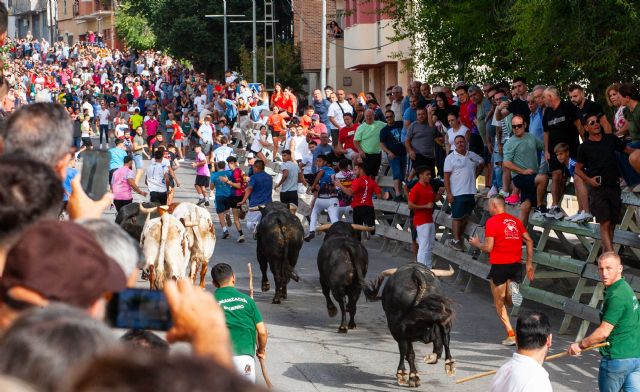 Los imponentes novillos de Fuente Ymbro cierran los encierros de Calasparra 2025