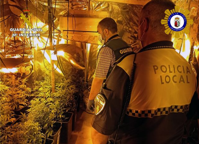 Desmantelado un activo punto de producción y venta de drogas, en Calasparra