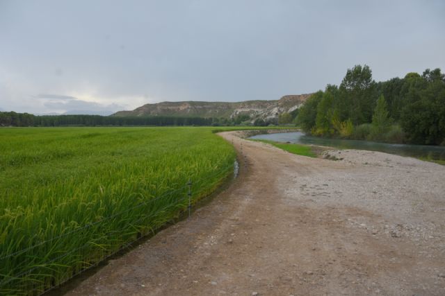 Vuelven las rutas y los paseos turísticos por la vega arrocera de Calasparra, para recibir el otoño