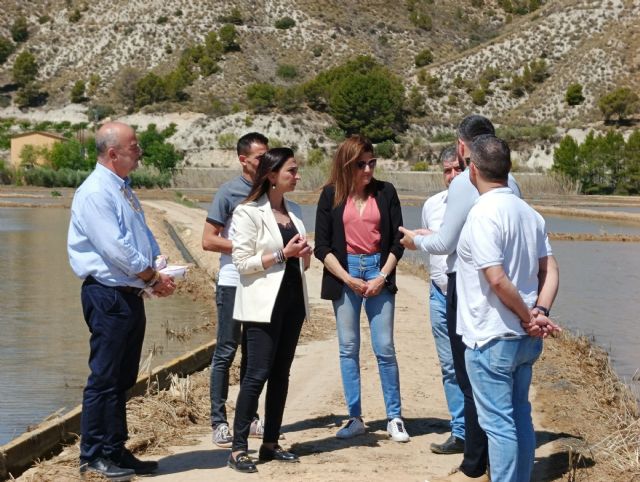 La producción de arroz con DO Calasparra se prevé superior en la nueva campaña
