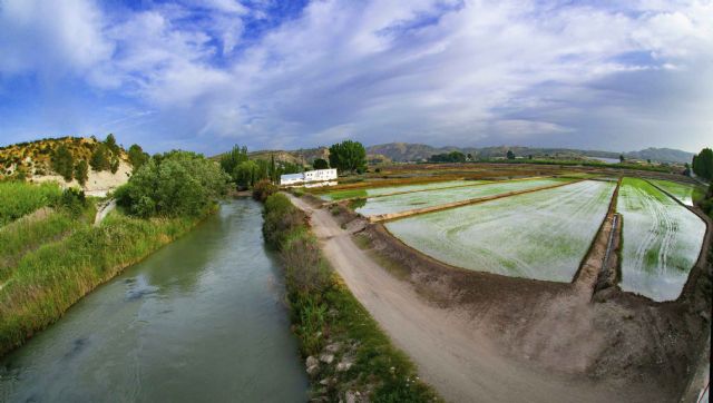 La Escuela de Piragüismo de Calasparra será escenario los próximos 19 y 20 de julio de la 4ª Copa de España de Slalom Olímpico y Kayak Cross