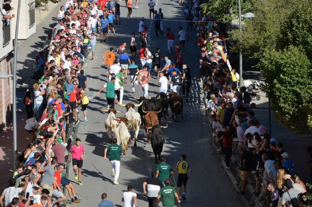 Encierros y festejos taurinos Calasparra 2023