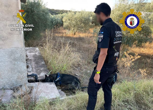 Desmantelan un punto de manipulación y venta de cocaína en Calasparra