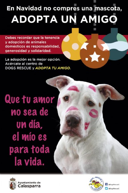 En Navidad no compres una mascota, ADOPTA UN AMIGO