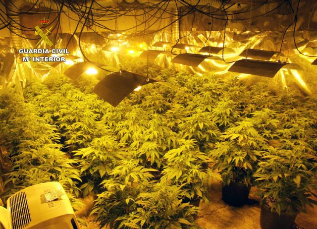 La Guardia Civil desmantela un invernadero de marihuana en una nave industrial