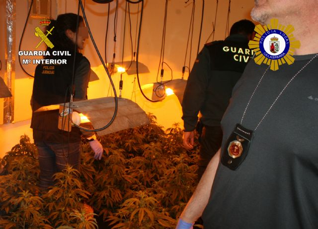 Desmantelado un invernadero clandestino de marihuana tipo indoor en Calasparra