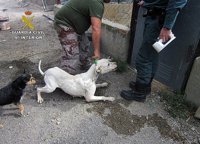 La Guardia Civil investiga a un vecino de Calasparra por delito de maltrato animal