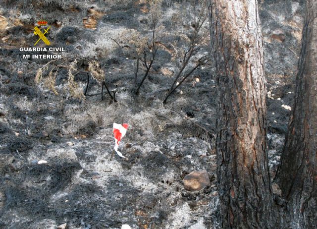 La Guardia Civil esclarece la causa de los incendios que calcinaron cuatro hectáreas de masa forestal