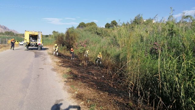 Conato el incendio de cañas en zona del río Argos (Calasparra)