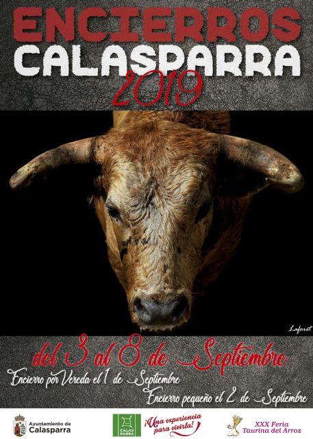 El matador de toros Luis Francisco Esplá pregonará la XXX Feria Taurina del Arroz de Calasparra.